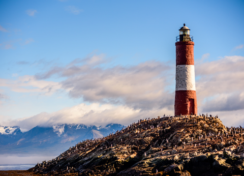 Circuit Contrastes de la Terre de Feu et du Nord Argentin - 31