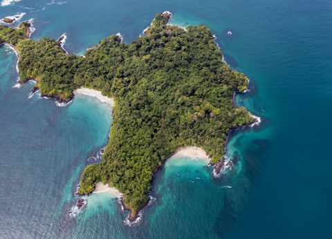 Circuit Panama, Couleur Café - 32