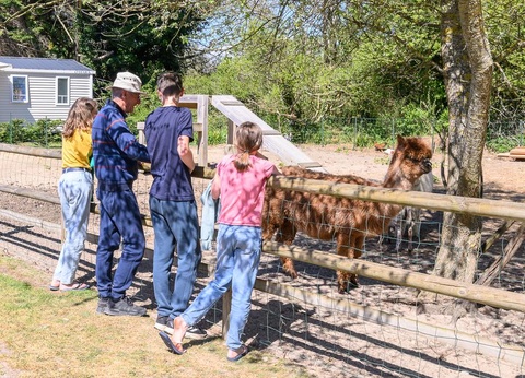 Camping Les Carolins, 3* - 72