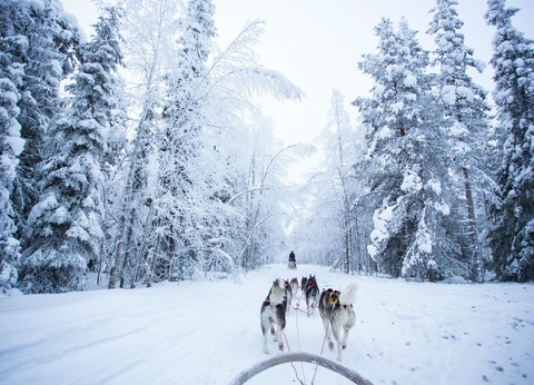 Circuit Essentiel de Laponie - 7