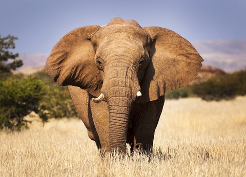 Découverte de la Namibie & Fish River Canyon 14J/11N - Limité à 22 pers. - 2025 - 5