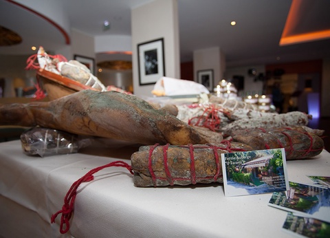 Stella Corsica au départ d'Ajaccio (sans transport) - 3