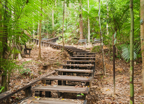 Malaisie en Liberté, Des Terres Sauvages de Taman Negara à l'île de Langkawi 4* - 14