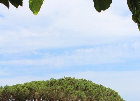 Camping Globo Barcelona, 4* - 27