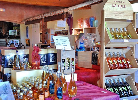 Camping Domaine de La Yole, 5* - 39