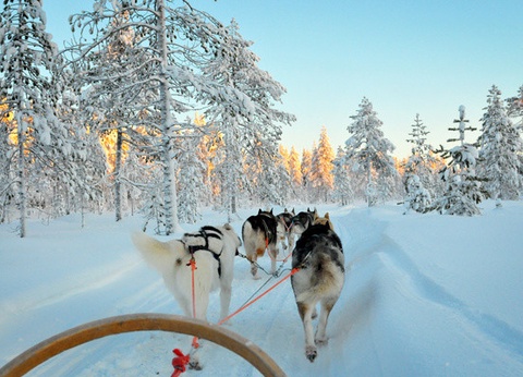 Circuit Aventure Polaire - 8