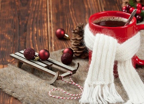 Placement idéal pour visiter le marché de Noël d'Ostende et de Bruges - 2* - 20