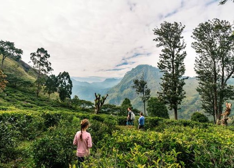 Carpe Diem au Sri Lanka - 19