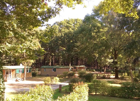 Camping OAKi, 3* - 24