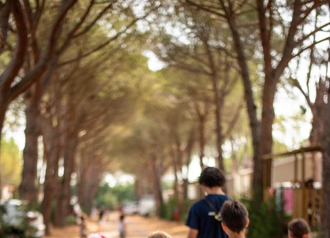 Camping maeva Club Le Lagon d'Argelès, 4* - 38