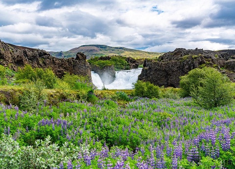 Circuit individuel Sérénité Islandaise - 10