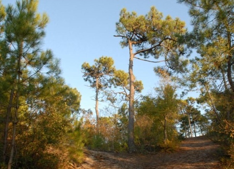 Camping Ushuaïa Villages La Conge, 3* - 36