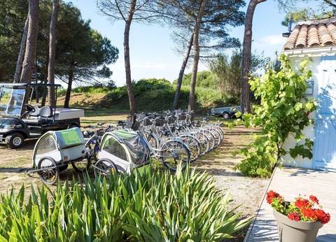 Camping Odalys Tamarins Plage - Arrivées à partir de Mai - 15