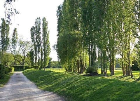 Camping Les Fontaines, 3* - 7