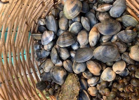 Camping Le Bois d'Amour - 23