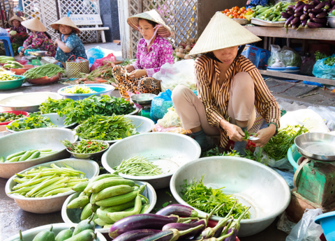 Circuit Vietnam, la perle d'Indochine 4/5* - 8