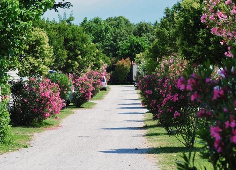 Camping Baia Verde, 4* - 49