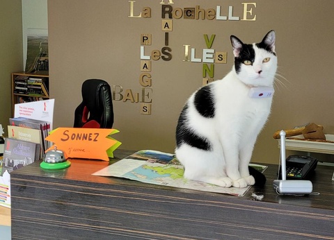 Camping Le Merval, 3* - 13