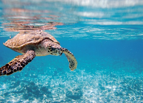 Circuit Magie des Seychelles - 2