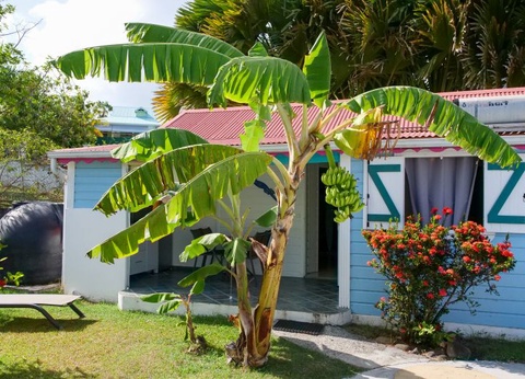 La Berceuse Créole avec location de voiture et package activité en option - 5