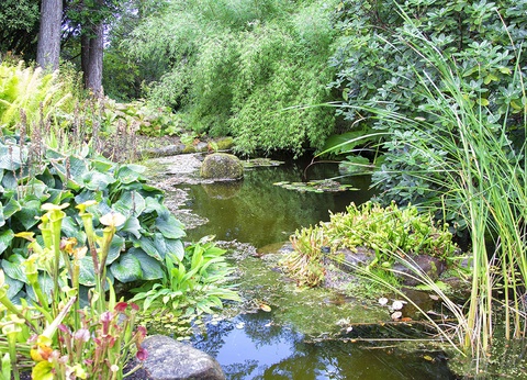 Circuit Îles et Highlands d'Écosse - 10