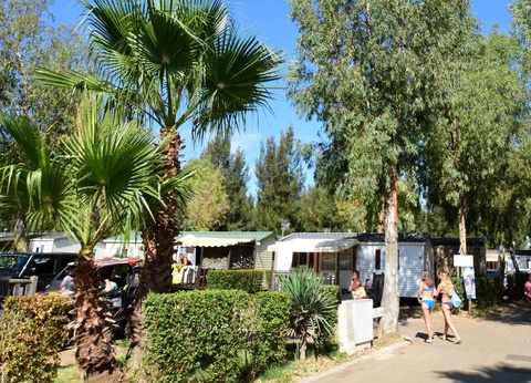 Camping Tikayan Les Palmiers, 4* - 28