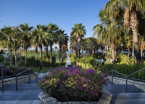 Hôtel Miramare Beach 5* - 42