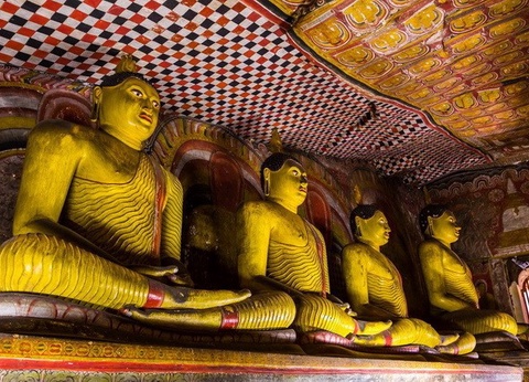 Circuit privé Ceylan buissonnier - 21