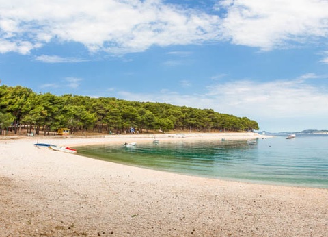 Club Jumbo Zora 3* - 3