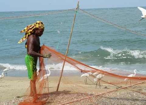 Circuit Merveilles du Sri Lanka - 4