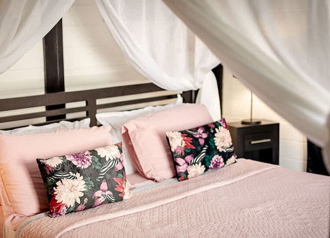 Domaine de la Palmeraie - 6