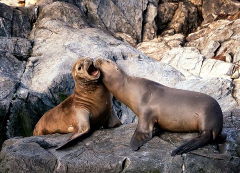 Circuit Merveilles d'Argentine et Iguaçu - 13