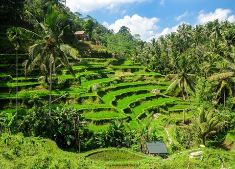 Combiné circuit et extension Fontana Hôtel - 7