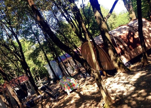 Camping Boschetto di Piemma, 3* - 30