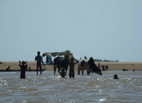 Circuit L'île rouge au fil de l'eau - 15