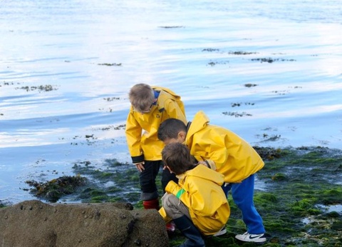 Camping Paradis Menez Bichen - 3* - 50