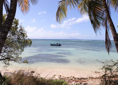 Circuit Perles de Guadeloupe et plage du Framissima Evasion Arawak Beach Resort **** - 6