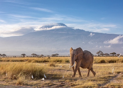 Hôtel Jumbo resort Watamu 4* et Safari 3 nuits - 11