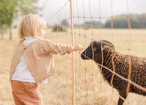 Domaine de L'Oiselière, 4* - 32