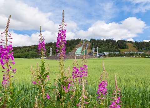Circuit Norvège Eté Grand Panorama Des Fjords - 8