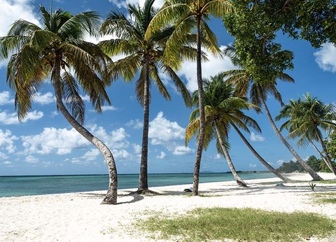 Les Antilles, la Caraïbe Française & extension les Saintes - 3