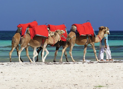 Circuit La Rose des Sables, à la découverte du Grand Sud de la Tunisie - 11
