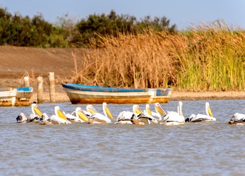 Circuit Mythes & charmes du Sénégal en privatif *** - 5