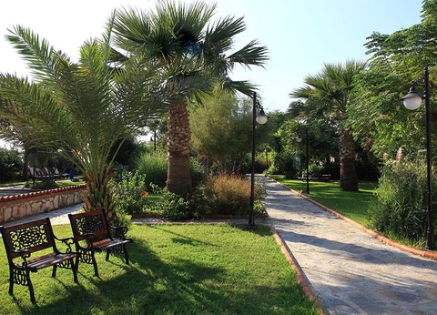 Ôclub Experience Club Cactus Paradise 4* - 12