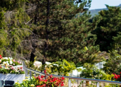 Camping Domaine du Cros d'Auzon, 4* - 32