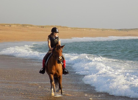 Camping La Falaise Narbonne Plage, 4* - 29