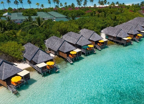 Hôtel Dhigufaru Island Resort 5* - 9