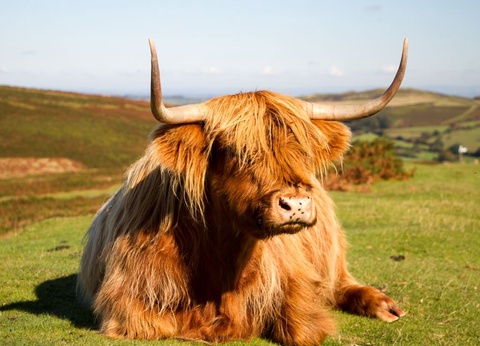 Autotour Des Hébrides aux Highlands - B&B - 3