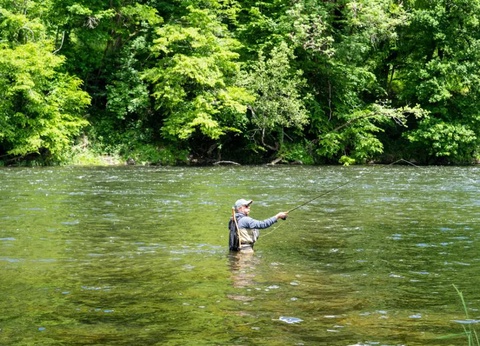 Camping Au Soleil d'Oc, 4* - 15