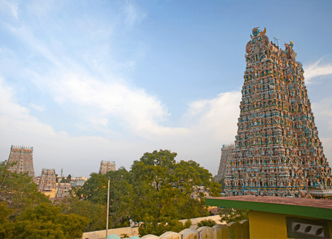 Circuit Couleurs de l'Inde du Sud : Temples, thé et traditions - 9